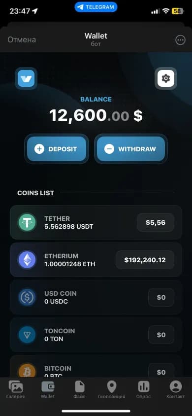 Wallet: balance, coins, history